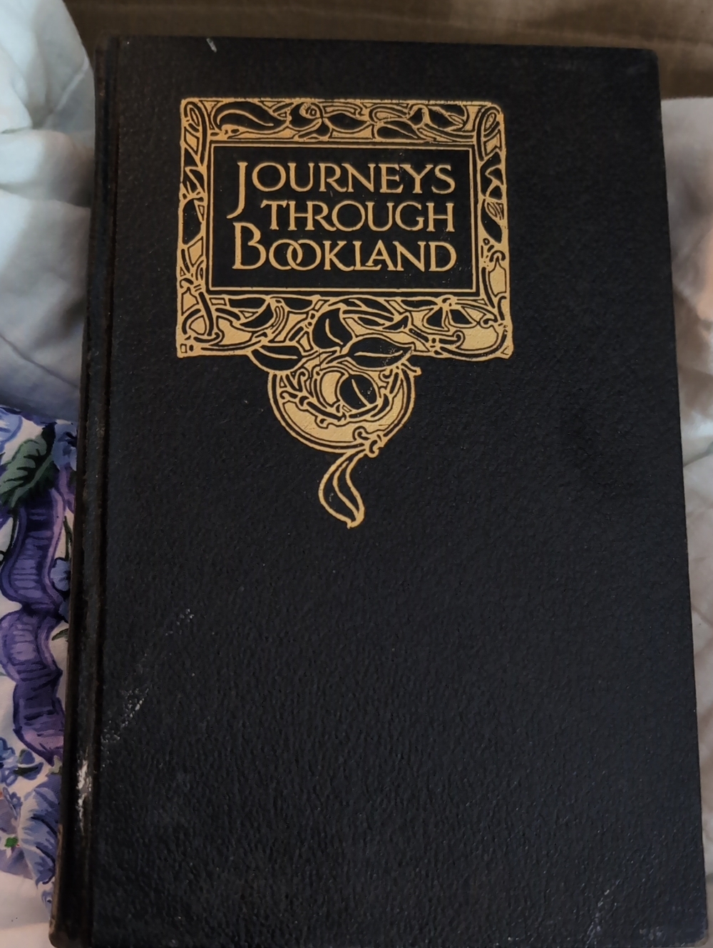 Journeys Through Bookland Decorative Black & Gold Coffee Table Book